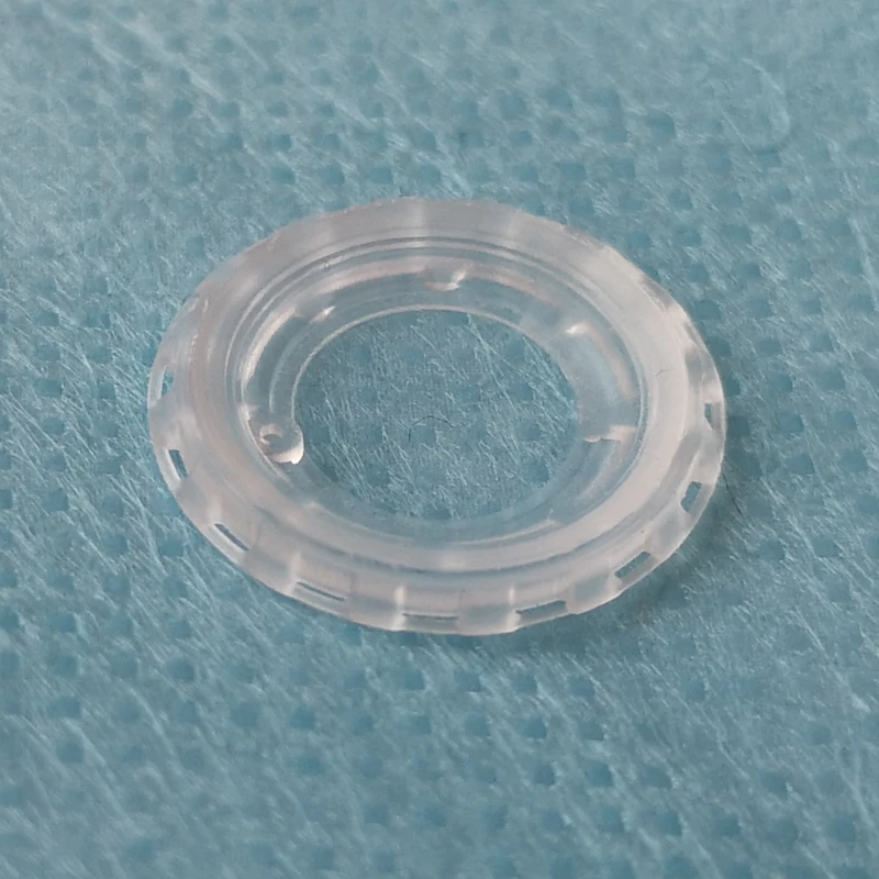 Our PDMS intravital window